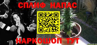тгк Нальчик
