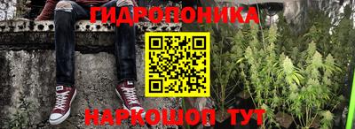 прущие грибы Наро-Фоминск