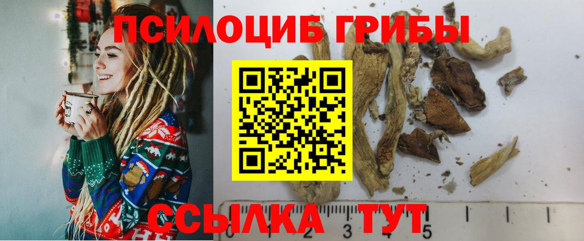 Псилоцибиновые грибы Cubensis  где найти наркотики  Дальнереченск  Вход с VPN 