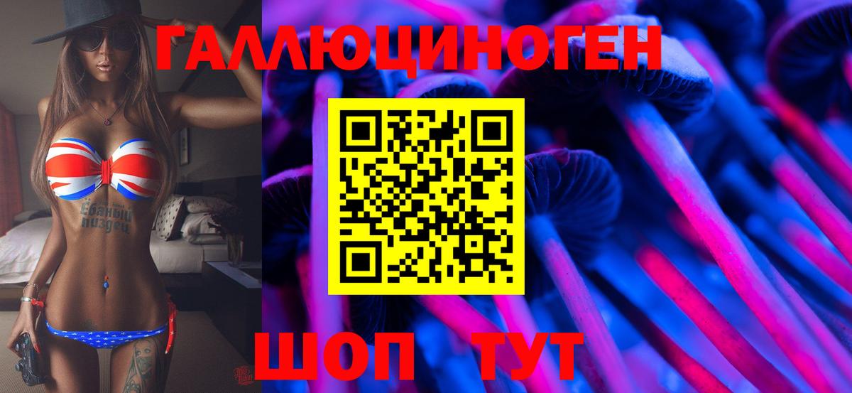 Псилоцибиновые грибы Cubensis Дальнереченск